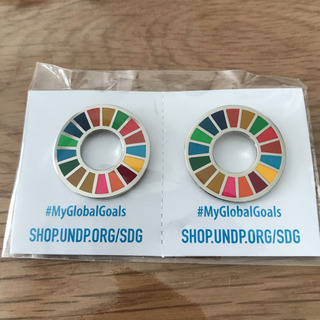 【チャリティー商品】国連　SDGs ピンバッジ2個セット