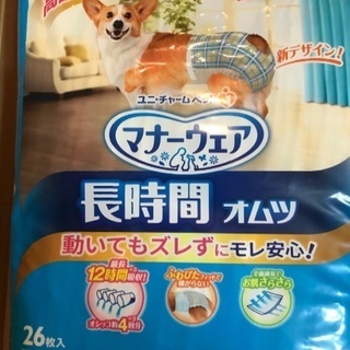 シニア犬ワンちゃん用オムツ🐶