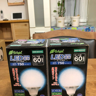 LED電球2個セット　未使用！