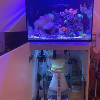 REEFERの中古が安い!激安で譲ります・無料であげます|ジモティー
