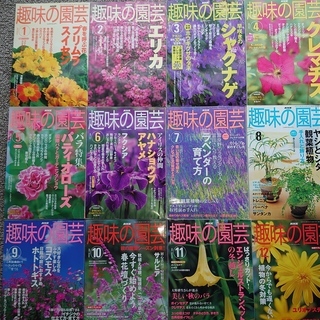 趣味の園芸　2003　（12冊）