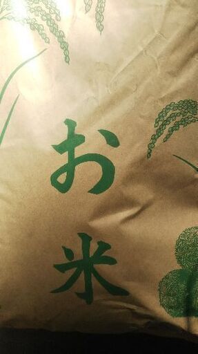 新米令和1年産ササニシキ玄米30Kg(二番米)