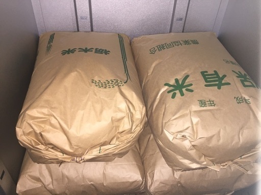 【新米】令和元年収穫コシヒカリ玄米30kg