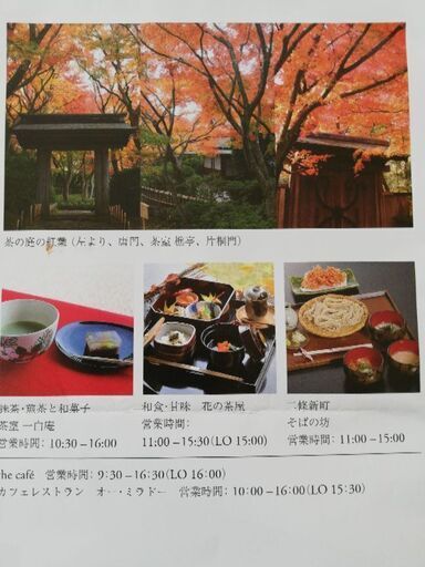 値引き交渉可能 熱海moa美術館ペア割引チケット おなか 石川町のその他の中古あげます 譲ります ジモティーで不用品の処分