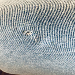 ３人掛け　洗える　デニムソファ  ウォールナット  3P ソファー　