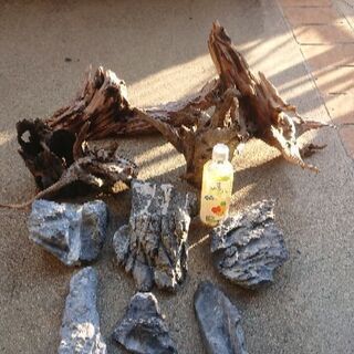 レイアウト素材(流木５個、龍王石大小６個) レイアウト素材(流木5個、龍王石大小6個)