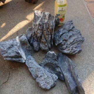 レイアウト素材(流木5個、龍王石大小6個)