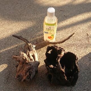 レイアウト素材(流木5個、龍王石大小6個)