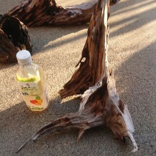 レイアウト素材(流木5個、龍王石大小6個)