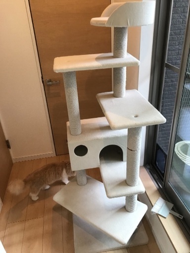 きれいキャットタワー白