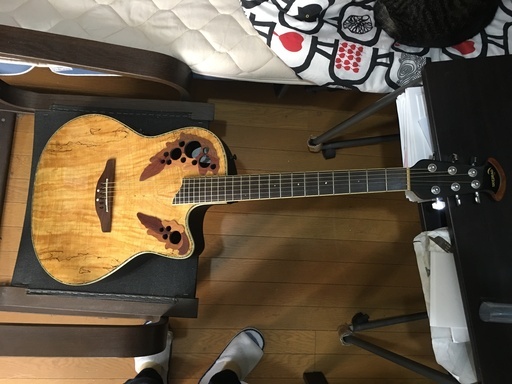Ovation Celebrity CC44 アコースティックギター オベーション CC44