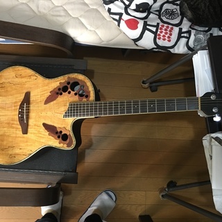 Ovation Celebrity CC44 アコースティックギ...