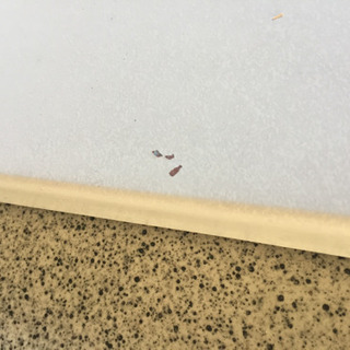 サンコウ電子検針機　中古