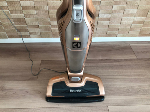 掃除機　エルゴラピード　リチウム　エレクトロラックス