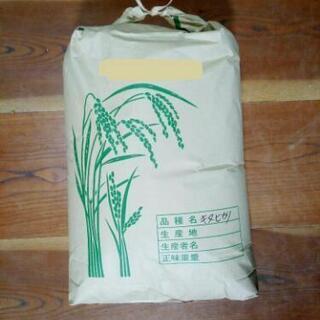 新米 玄米30kg×2本 オマケ付き