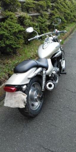 エリミネーター250V