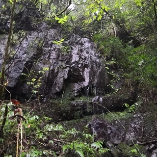 【日帰りプチ冒険】一日かけて、googleマップ上の有田郡の滝を...