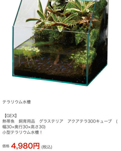 アクアテラリウム 水槽セット レイアウト済み 鉱石屋 高鷲のその他の中古あげます 譲ります ジモティーで不用品の処分