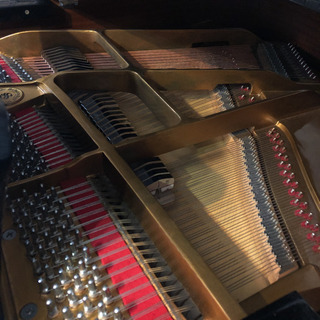 リアル ストリングス グランドピアノ ゴールデンウィーク価格 リアル ストリングス グランドピアノ ゴールデンウィーク価格