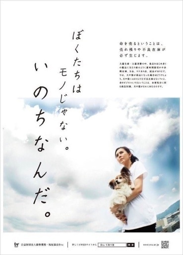 里親決定 有難うございました 保健所収容 まだ子供の甘えん坊 僕と家族になってください 県外譲渡可 Kmhらぶ 大村のその他の里親募集 ジモティー 里親決定 有難うございました 保健所収容 まだ子供の甘えん坊 僕と家族になってください 県外譲渡可 Kmhらぶ 大村のその他の里親募集 ジモティー