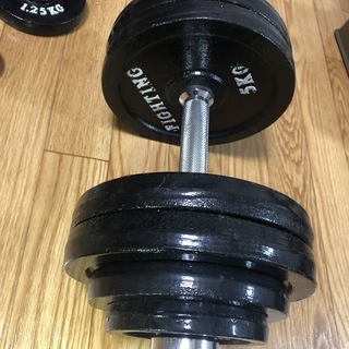 中古ダンベルセット60kg（30kg×2） 【公式通販】