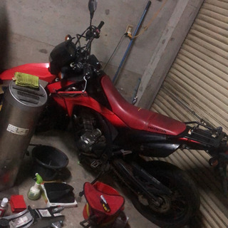 CRF250M  自賠責付