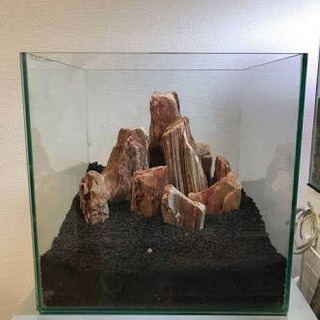 【石】紅木化石 約800g