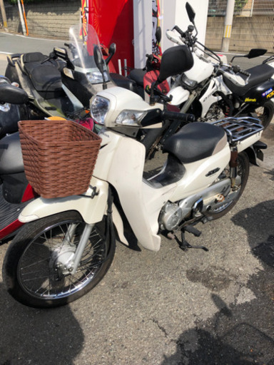 HONDA  スーパーカブ110 セル始動　福岡市南区