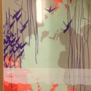 バートン BURTON feather 43 ビンディング付