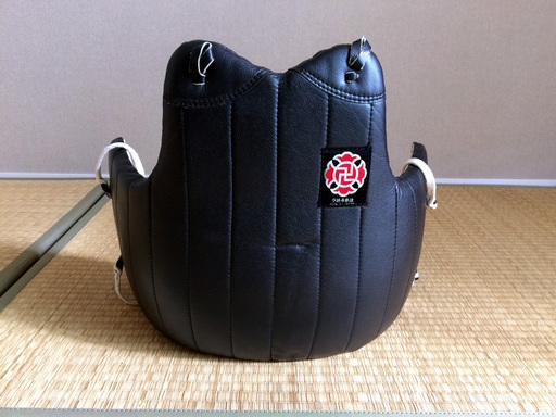 少林寺拳法 胴 ひくく