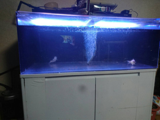 120アクリル水槽