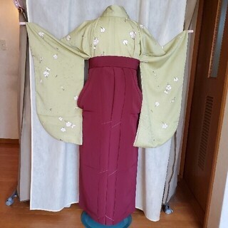 卒業式　袴セットC