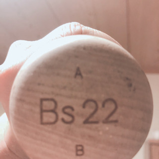 ミズノプロ 硬式木製バット NPB 伊藤光使用品 | otamatone.jp