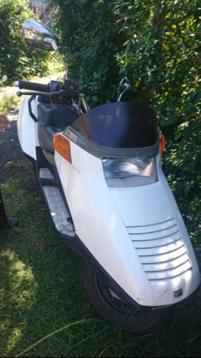 フィージョン250です。走行できます、
