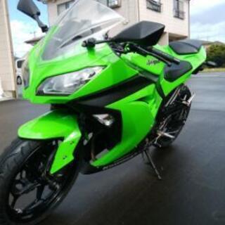 ★美車 NINJA250 EX２５０L 人気のカワサキカラー 業...