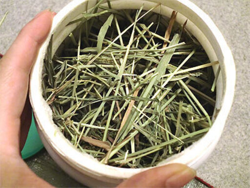 牧草チモシーアルファルファ１番２番刈り小動物 うさぎ ウサギ モルモット テグー ハムスター エキゾチックアニマル 床材 敷材 園芸 ふなっしー 横浜のその他の中古あげます 譲ります ジモティーで不用品の処分