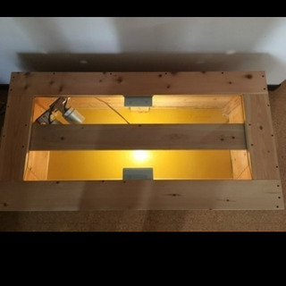 爬虫類　木製ゲージ