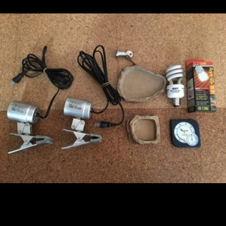 爬虫類　木製ゲージ