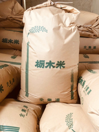 ★★令和2年産　栃木県産　一等米コシヒカリ30キロ(玄米)