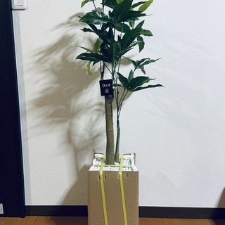 [新品]光触媒人工観葉植物高さ約107cm