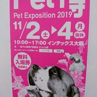 ペット博 無料入場券 インテックス大阪 Pet博