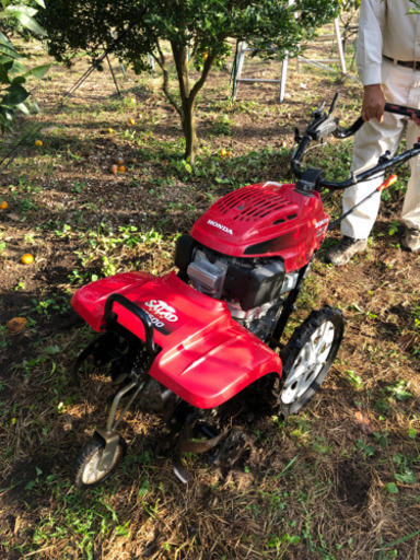 商談中 honda ff500