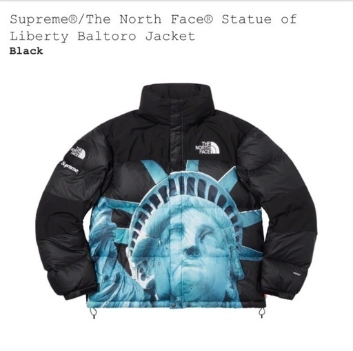 Supreme TNF Statue of Liberty JKT