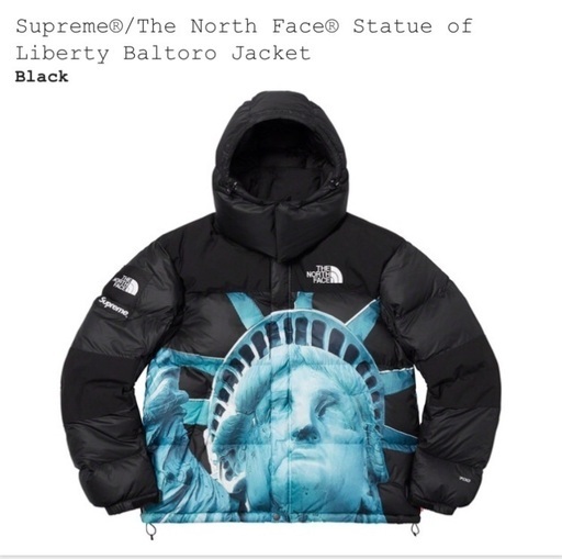 supreme the north face statue of liberty