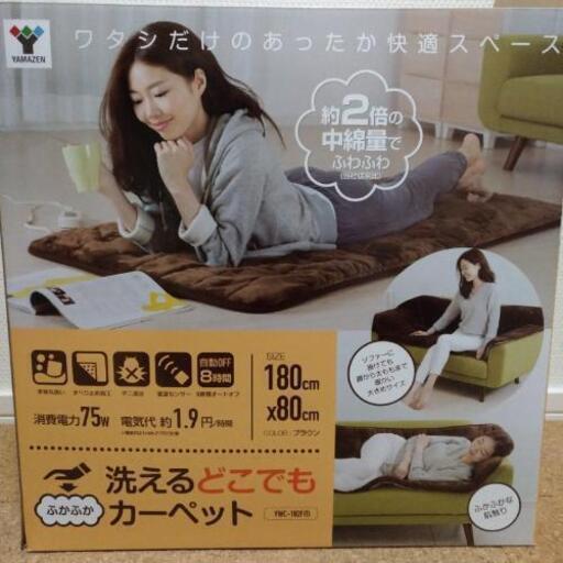 洗えるどこでも電気カーペット | tspea.org