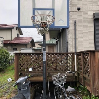 バスケットボール バスケットゴール取りに来てくれる方