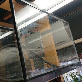 60cm水槽(中古 海水魚 熱帯魚 アクアリウム テラリウム)
