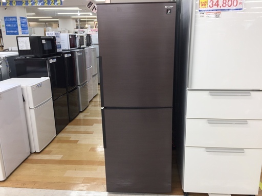 安心の1年保証付！2019年製 SHARPの2ドア冷凍冷蔵庫です【トレファク岸和田店】