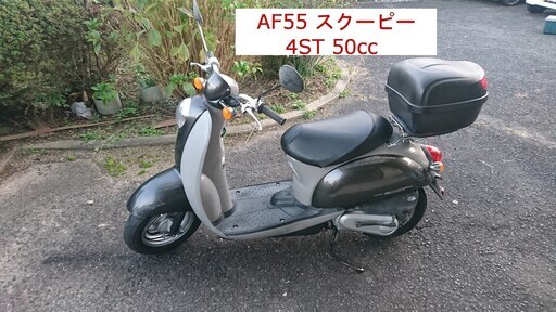 値下げしました ホンダ スクーピー AF55 4ST 50cc 原付 タイヤ新品 簡易整備済み 始動確認動画有