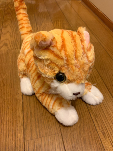 なごみケーションにゃんこ 猫 ぬいぐるみ おしゃべり イナ 若林のおもちゃ ぬいぐるみ の中古あげます 譲ります ジモティーで不用品の処分 なごみケーションにゃんこ 猫 ぬいぐるみ おしゃべり イナ 若林のおもちゃ ぬいぐるみ の中古あげます 譲ります ジモティーで不用品の処分